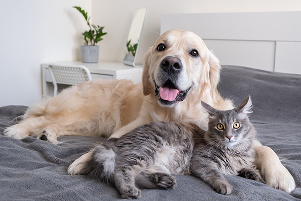 幅広いペット対応